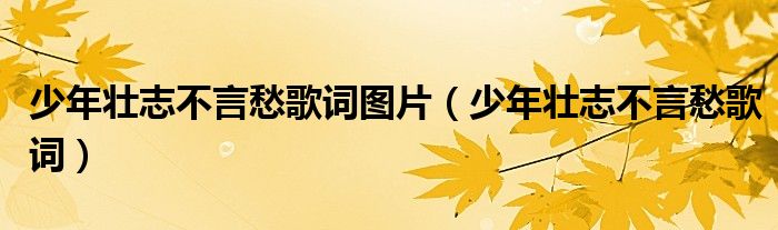 少年壯志不言愁歌詞圖片（少年壯志不言愁歌詞）
