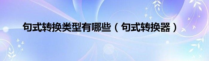 句式轉(zhuǎn)換類型有哪些（句式轉(zhuǎn)換器）