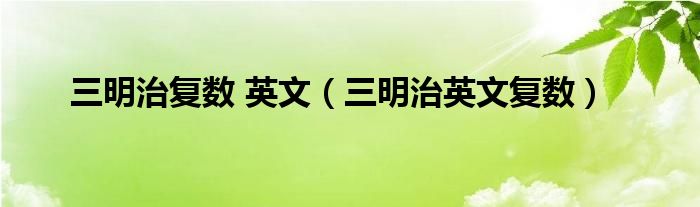 三明治復(fù)數(shù) 英文（三明治英文復(fù)數(shù)）