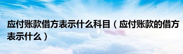 應(yīng)付賬款借方表示什么科目（應(yīng)付賬款的借方表示什么）