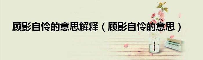 顧影自憐的意思解釋（顧影自憐的意思）