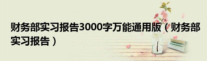 財務部實習報告3000字萬能通用版（財務部實習報告）