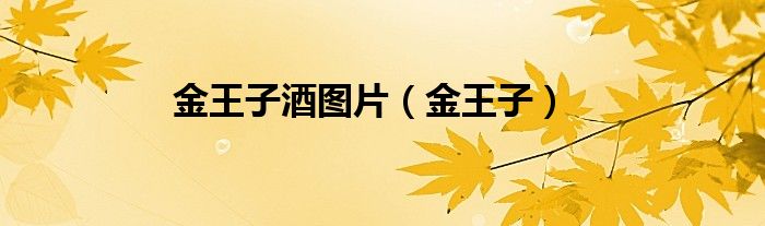 金王子酒圖片（金王子）