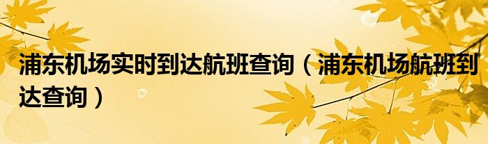 浦東機(jī)場(chǎng)實(shí)時(shí)到達(dá)航班查詢（浦東機(jī)場(chǎng)航班到達(dá)查詢）