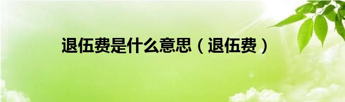 退伍費(fèi)是什么意思（退伍費(fèi)）