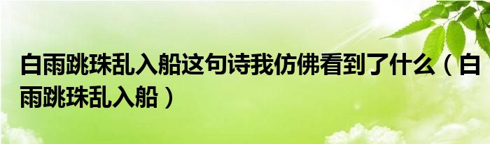 白雨跳珠亂入船這句詩我仿佛看到了什么（白雨跳珠亂入船）