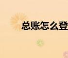 總賬怎么登記圖片（總賬怎么登記）