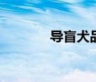 導盲犬品種有哪些（導盲犬）