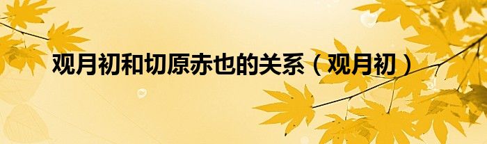 觀月初和切原赤也的關系（觀月初）