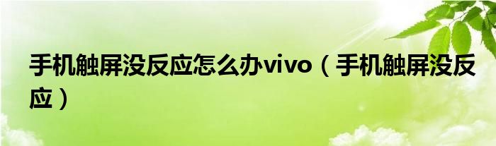 手機觸屏沒反應怎么辦vivo（手機觸屏沒反應）