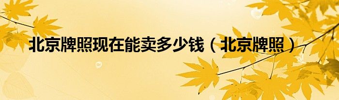 北京牌照現(xiàn)在能賣多少錢（北京牌照）