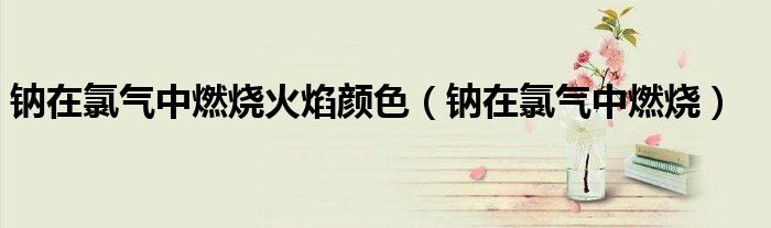 鈉在氯氣中燃燒火焰顏色（鈉在氯氣中燃燒）
