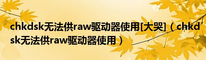 chkdsk無(wú)法供raw驅(qū)動(dòng)器使用[大哭]（chkdsk無(wú)法供raw驅(qū)動(dòng)器使用）