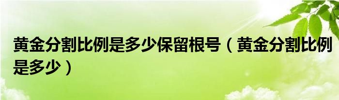 黃金分割比例是多少保留根號（黃金分割比例是多少）