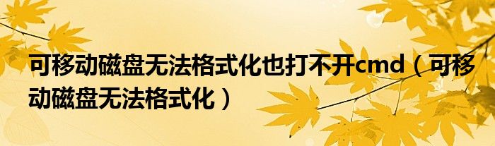 可移動(dòng)磁盤無法格式化也打不開cmd（可移動(dòng)磁盤無法格式化）