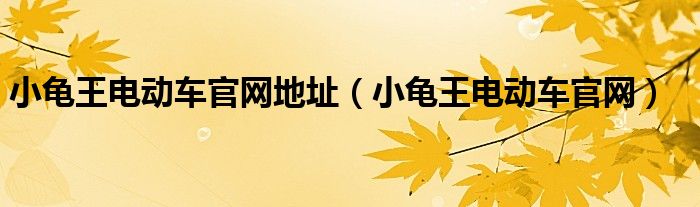 小龜王電動車官網(wǎng)地址（小龜王電動車官網(wǎng)）