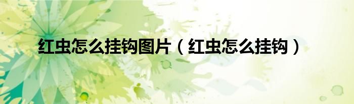 紅蟲怎么掛鉤圖片（紅蟲怎么掛鉤）