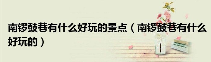 南鑼鼓巷有什么好玩的景點（南鑼鼓巷有什么好玩的）