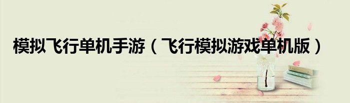 模擬飛行單機(jī)手游（飛行模擬游戲單機(jī)版）