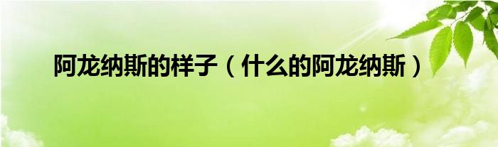 阿龍納斯的樣子（什么的阿龍納斯）