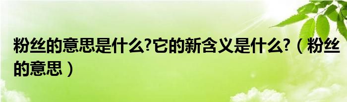 粉絲的意思是什么?它的新含義是什么?（粉絲的意思）