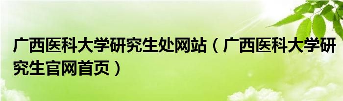 廣西醫(yī)科大學研究生處網站（廣西醫(yī)科大學研究生官網首頁）