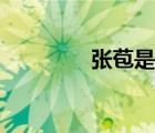 張苞是被誰殺死的（張苞）