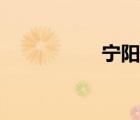 寧陽吧新聞（寧陽吧）