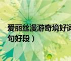 愛麗絲漫游奇境好詞好句好段大全（愛麗絲漫游奇境好詞好句好段）