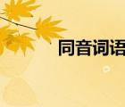 同音詞語大全100個（同音詞）
