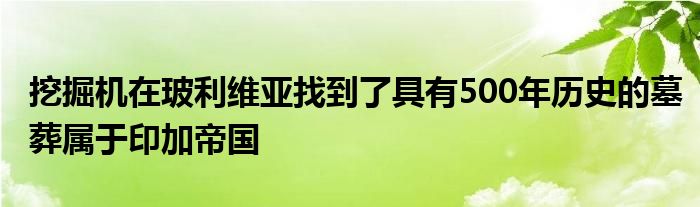 挖掘機(jī)在玻利維亞找到了具有500年歷史的墓葬屬于印加帝國