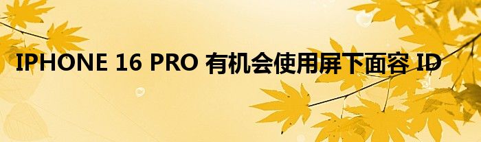 IPHONE 16 PRO 有機(jī)會使用屏下面容 ID