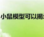 小鼠模型可以揭示免疫系統(tǒng)對(duì)寨卡病毒的反應(yīng)