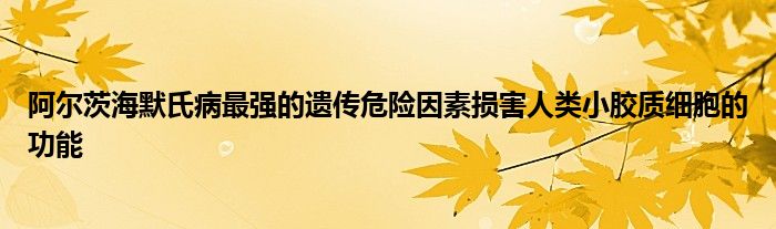 阿爾茨海默氏病最強的遺傳危險因素損害人類小膠質細胞的功能