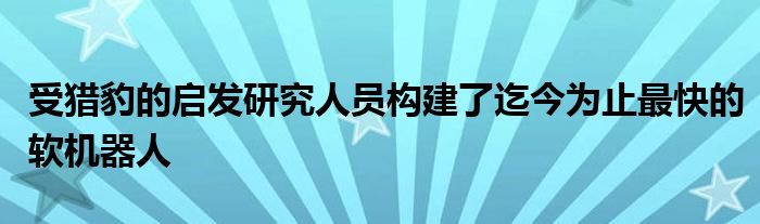 受獵豹的啟發(fā)研究人員構(gòu)建了迄今為止最快的軟機(jī)器人