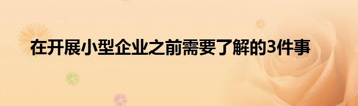 在開展小型企業(yè)之前需要了解的3件事
