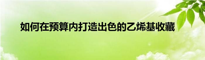 如何在預(yù)算內(nèi)打造出色的乙烯基收藏