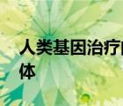 人類基因治療的重組 新的和改進的腺病毒載體