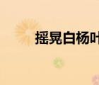 搖晃白楊葉啟發(fā)新的能量收獲設備