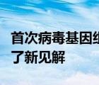 首次病毒基因組分析為巴西寨卡病毒爆發(fā)提供了新見解