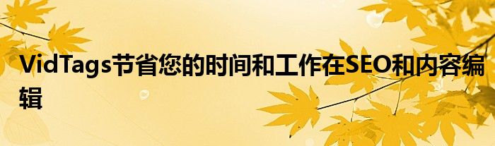 VidTags節(jié)省您的時間和工作在SEO和內(nèi)容編輯